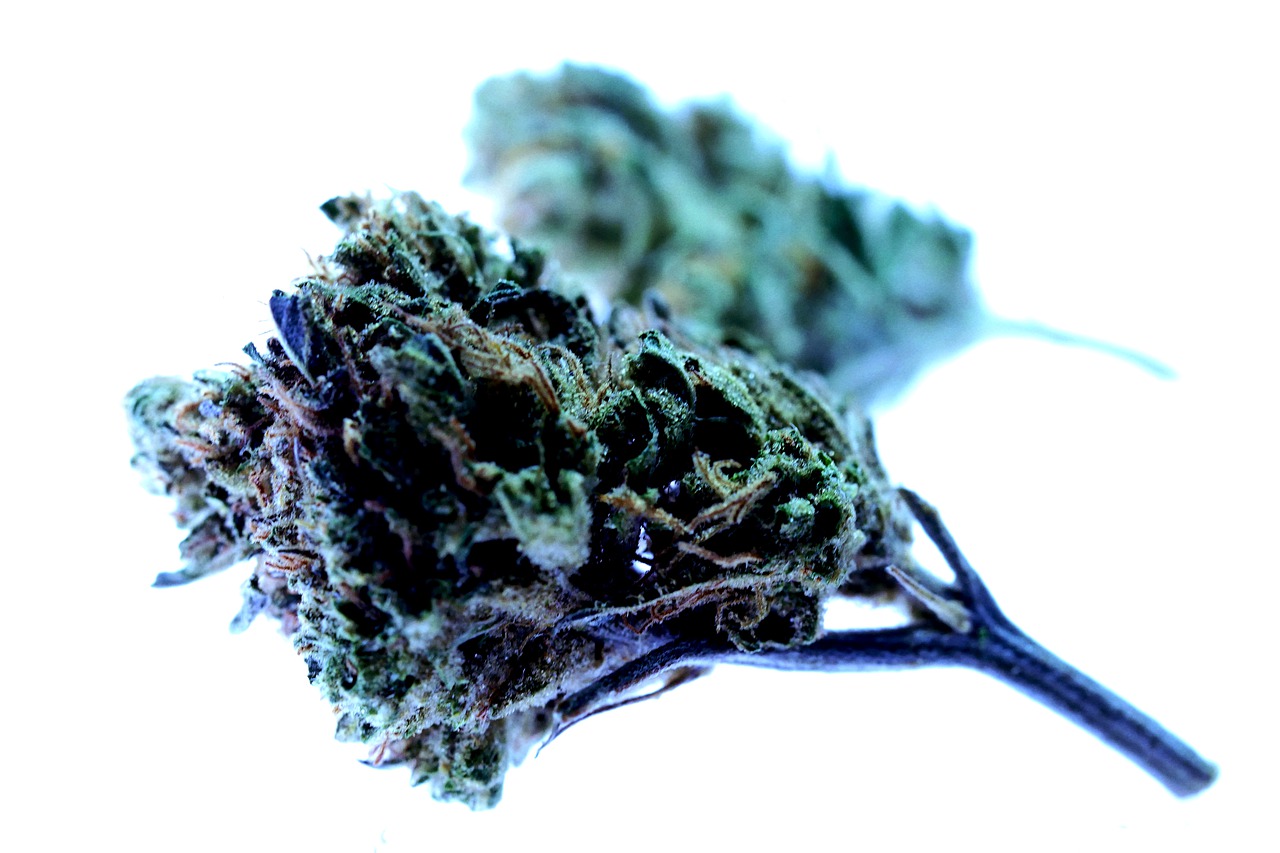 What Does “Unusable and Unrecognizable” Mean When Discarding Cannabis Waste?