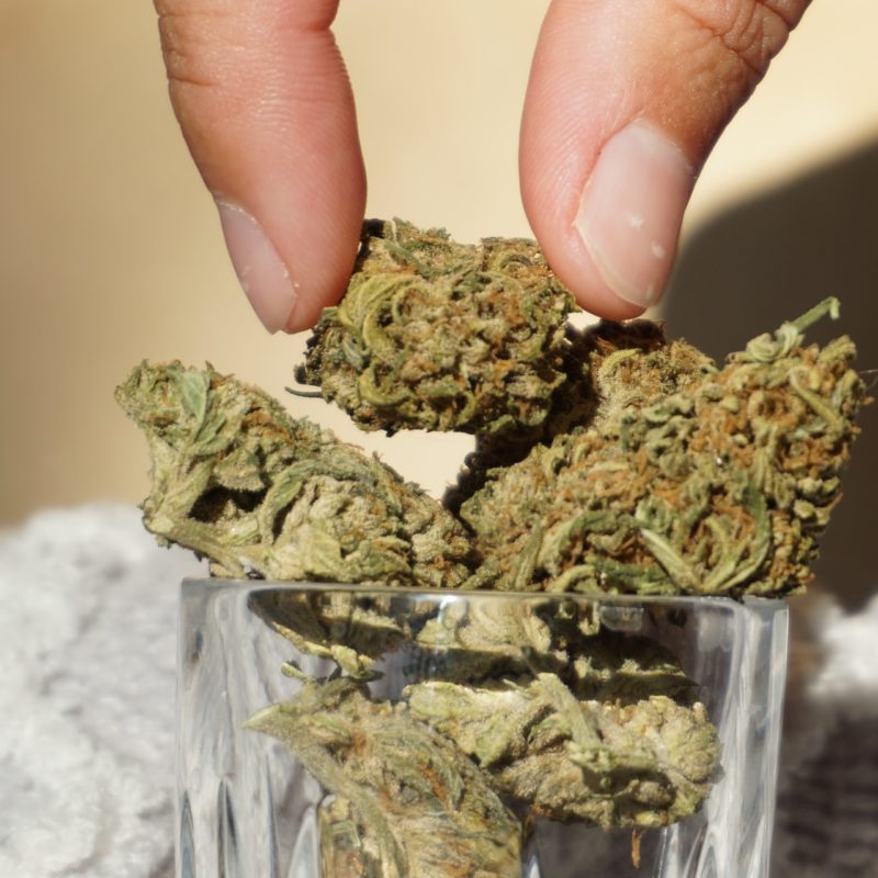How to Dispose of Medical Marijuana Waste
