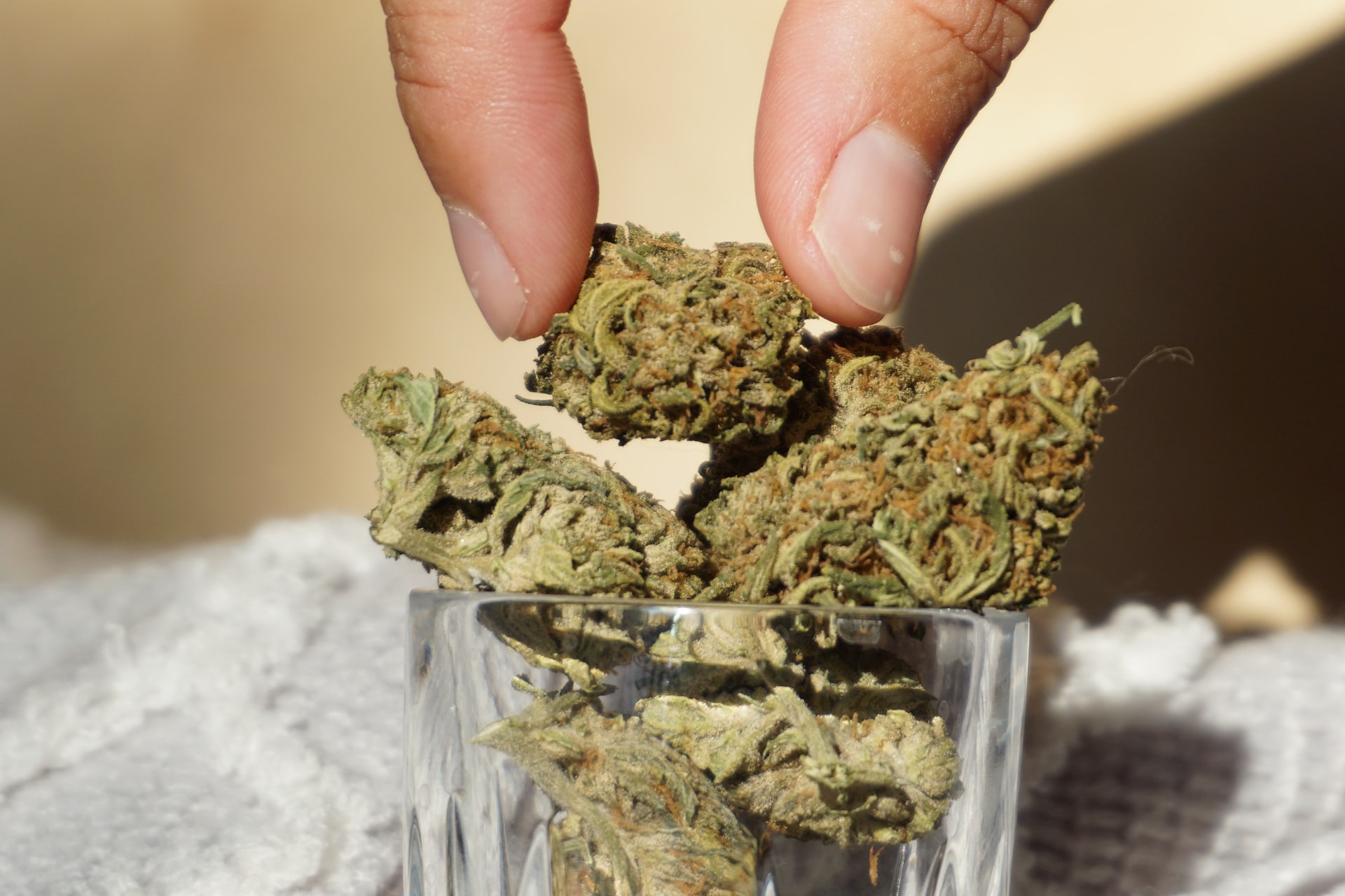 How to Dispose of Medical Marijuana Waste